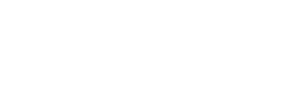 IBDEO Logo blanc