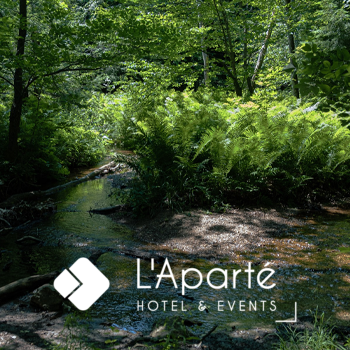 Ruisseau entouré de fougères et arbres, logo LAparte Hotel Events.